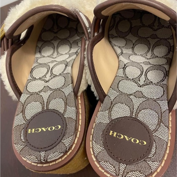 Mint!! Coach Dylan Shearling Clog. Worn  just once. Absolutely beautiful. - Picture 3 of 7